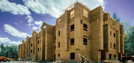 Choosing the Right Level of Project Review: Budget Review versus Full Project Review